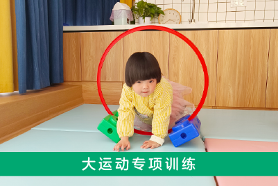 大运动专项训练 大运动专项训练