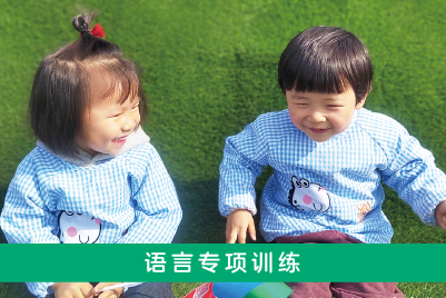 语言专项训练 语言专项训练