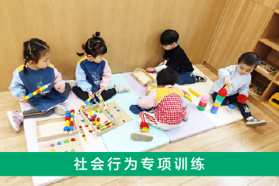 社会行为专项训练 社会行为专项训练