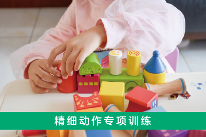 精细动作专项训练 精细动作专项训练